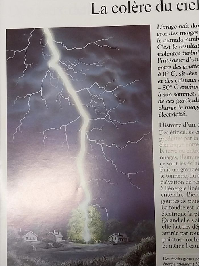 La nature des phénomènes extraordinaires Fleurus enfants - photo numéro 5