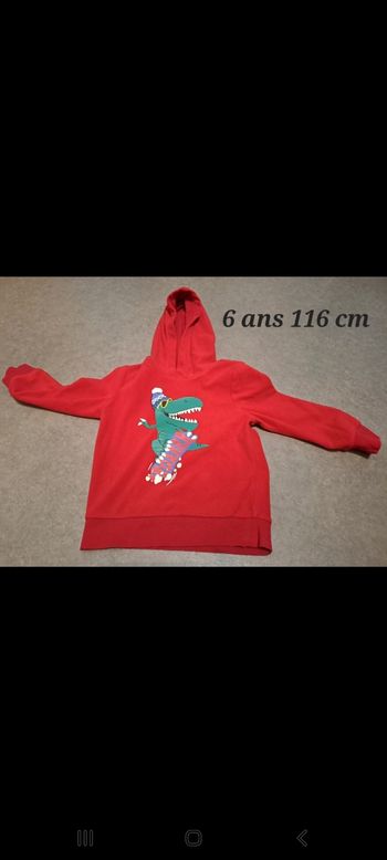 Pull dinosaures