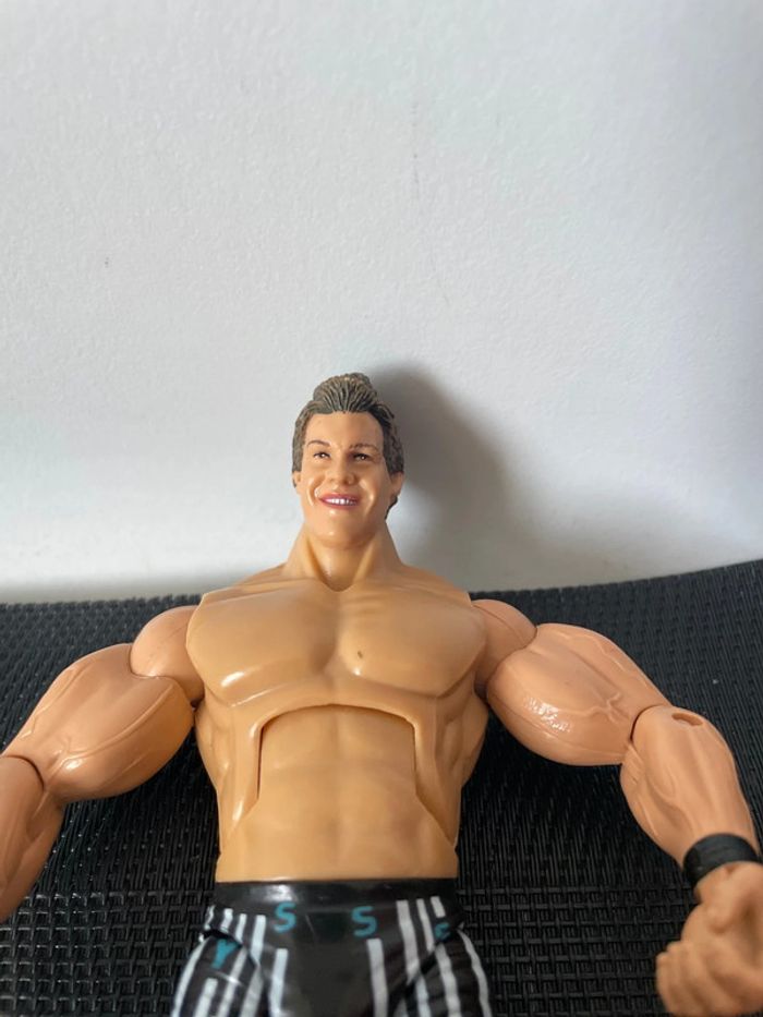Figurine articulée catcheur Chris Jericho WWE wwf jakks Pacific 2005 19cm superstar du catch - photo numéro 9