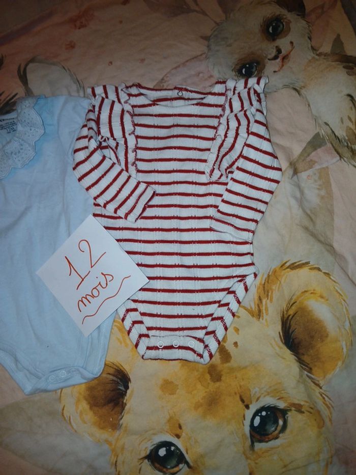 Lot body - photo numéro 3