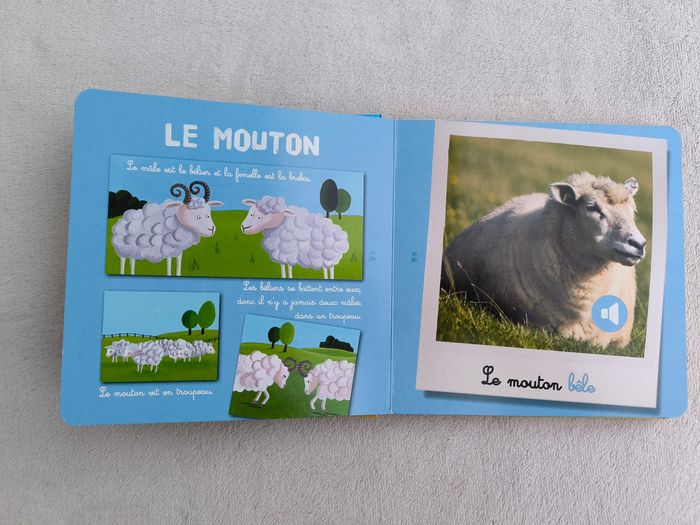 Livre sonore Les animaux de la ferme Auzou - photo numéro 5