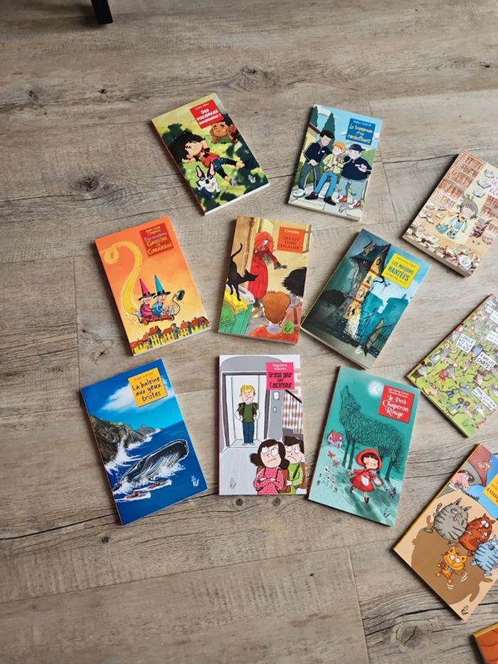 Livres - photo numéro 2