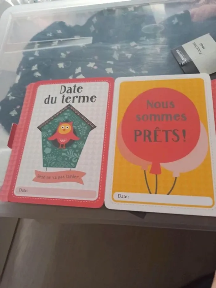 Livre cartes souvenirs - photo numéro 5