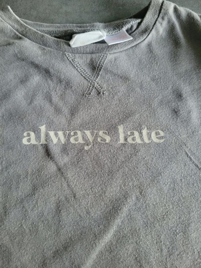 Garçon (taille 4 / 5 ans) : pull fin ZARA - photo numéro 2