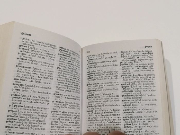 Mini dictionnaire Allemand 🇩🇪 - photo numéro 14