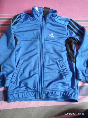 Gilet adidas