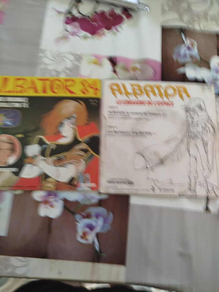 Vinyles - photo numéro 2
