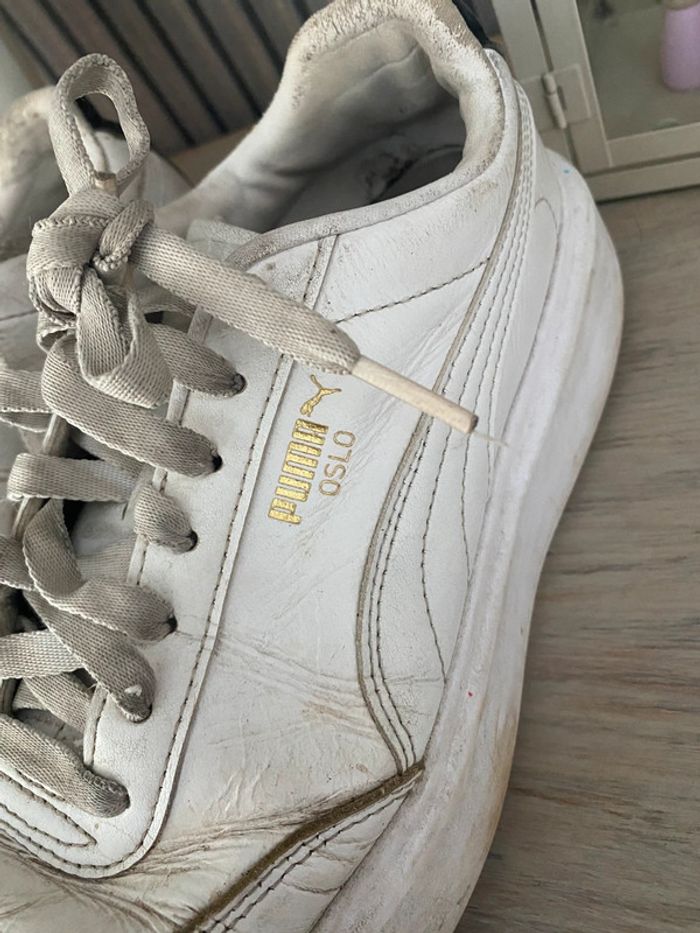 Puma a retaper - photo numéro 2