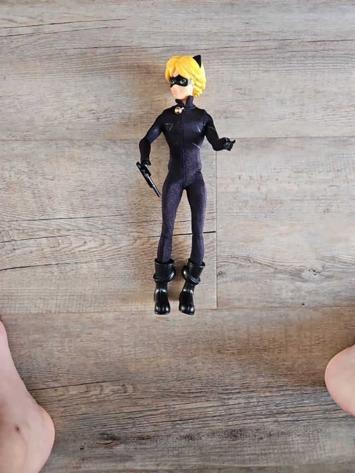 Chat noir