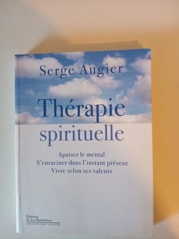 Thérapie spirituelle .Apaiser le mental, s enracinée dans l'instant présent