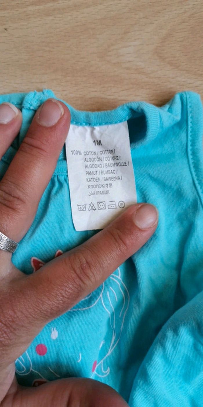 Ensemble - photo numéro 3