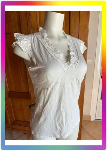 Blouse chic dentelle col V camaïeu brodé femme manches courtes