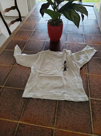 Tee shirt manches longues