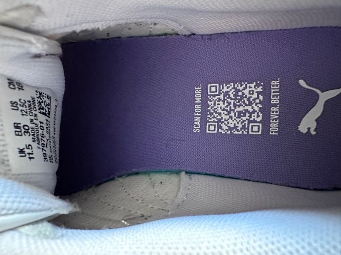 Puma - photo numéro 3