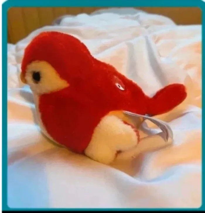Oiseau - photo numéro 2