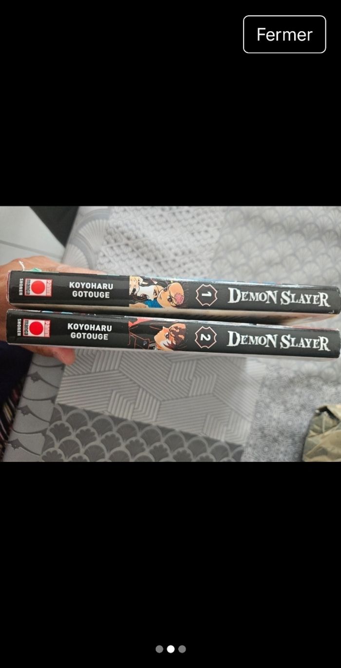 Lot Manga demon slayer T1 et T2 - photo numéro 2