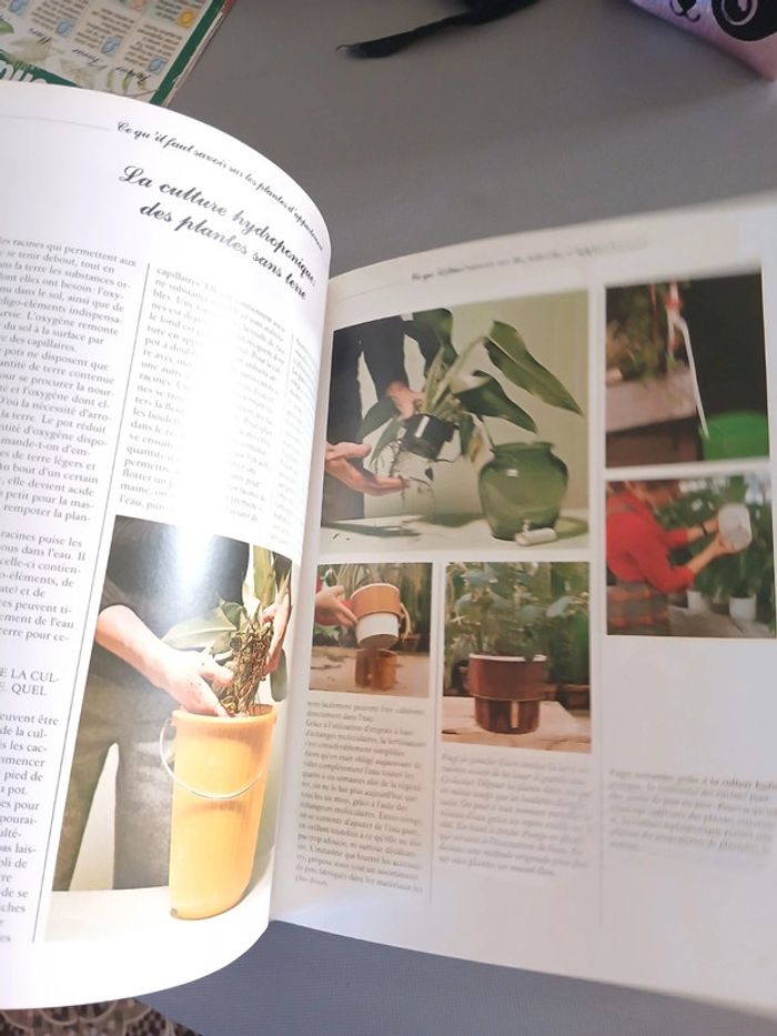 🍍 Livre Les plantes d intérieur - photo numéro 10