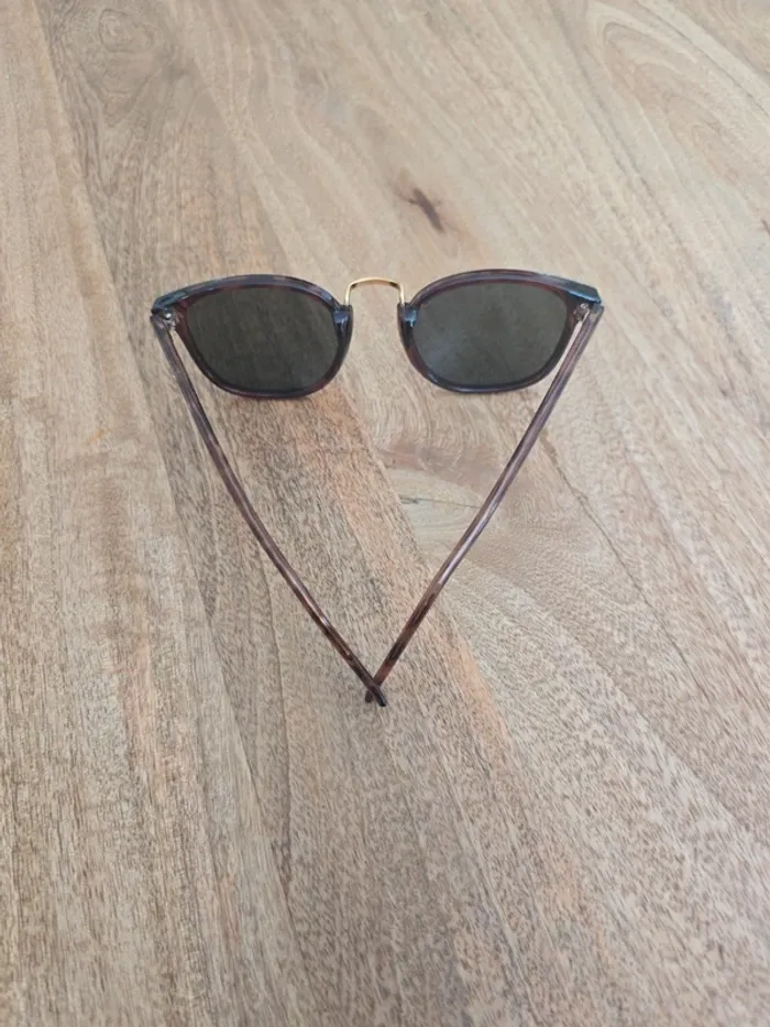Solaire marron écailles - photo numéro 2