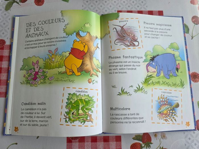 LIVRE DISNEY WINNIE L'OURSON À  LA DÉCOUVERTE DES COULEURS 🔴🟠🟣🔵🟡 NEUF MARQUE HACHETTE - photo numéro 9