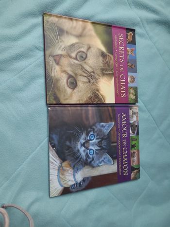 2 livres sur les chats
