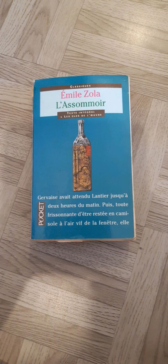 L'assommoir d'Émile Zola