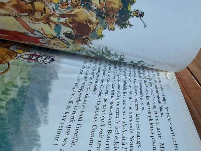 Moyen 2 - Livre édition limitée reliure rouge Caroline dans les Alpages Pierre Probst bd - photo numéro 16