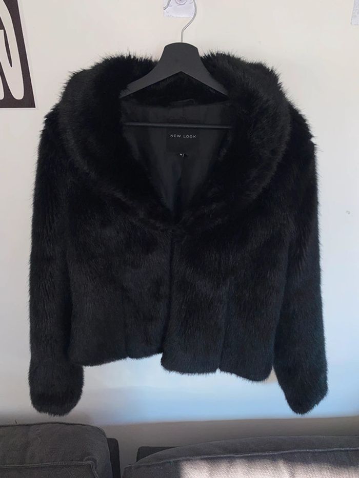 Manteau fourrure noir - photo numéro 2