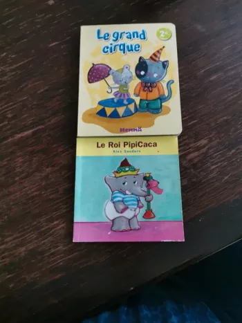 Lot de 2 livres le grand cirque et le roi pipicaca