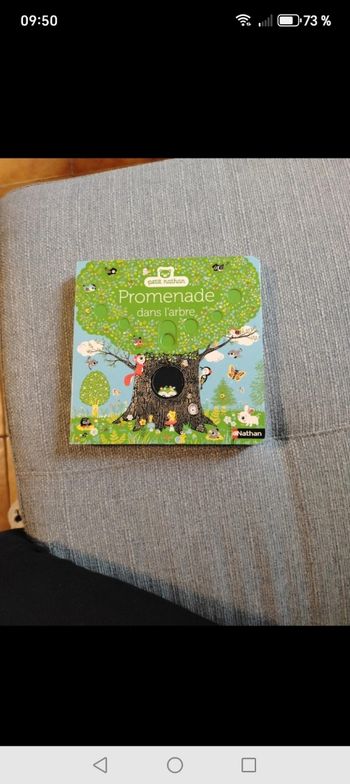 Livre promenade neuf 