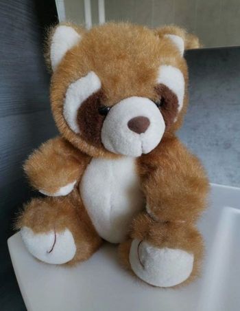 Jolie peluche raton laveur