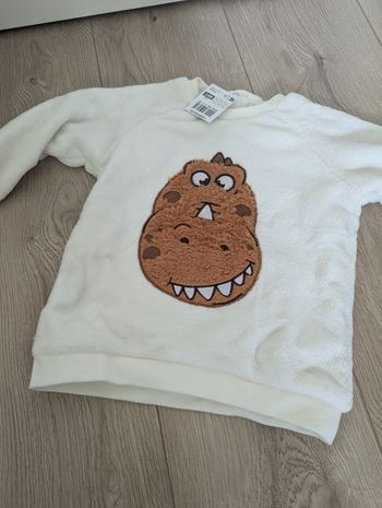 Pull polaire