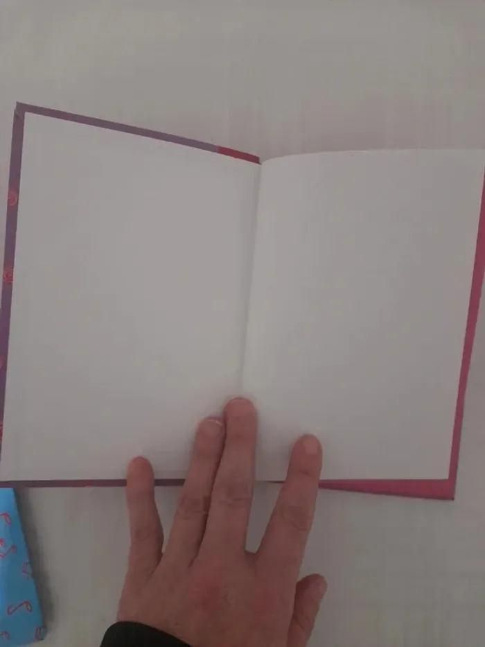 Lot 2 livres winx ibliotheque rose à partir de 7ans c - photo numéro 7