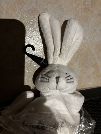 Doudou lapin interdit de me gronder neuf
