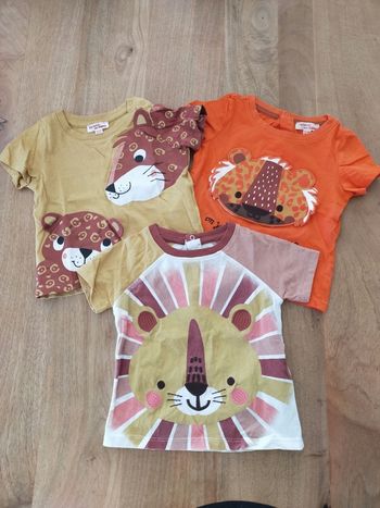 Lot de 3 t-shirts félins 18 mois