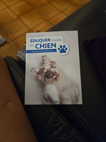 Éduquer facilement son chien