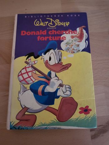Donald cherche fortune