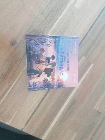 Livre une carriole dans la Camargue