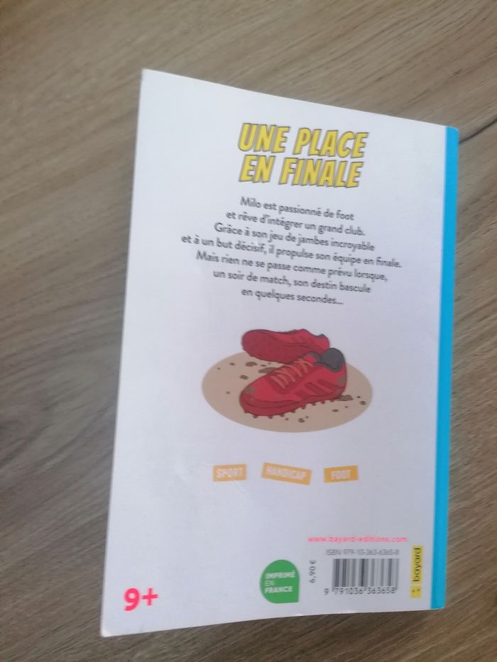 Livre une place en finale 1euro - photo numéro 2