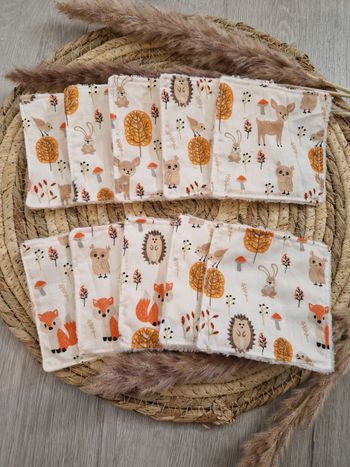 Lingettes Lavable x10 