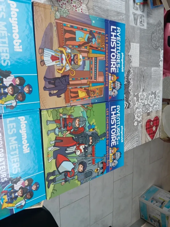 Livre playmobil