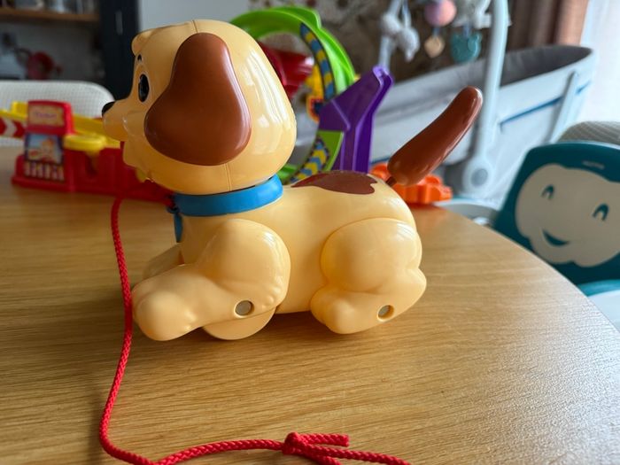 chien à tirer - photo numéro 2