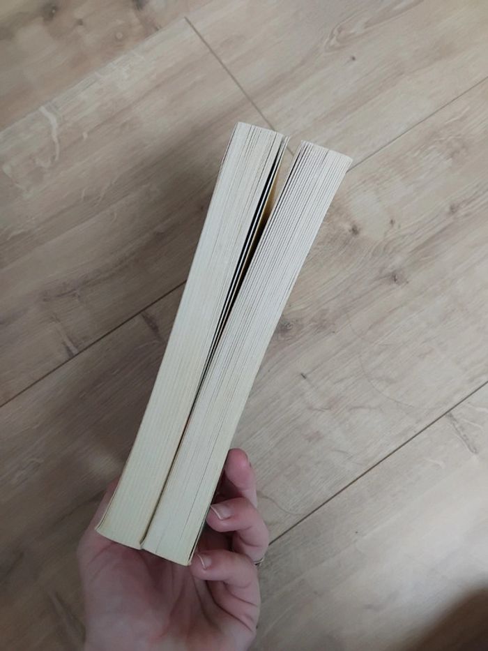 Livres Miss Pain d'épices et Rose givrée - photo numéro 5