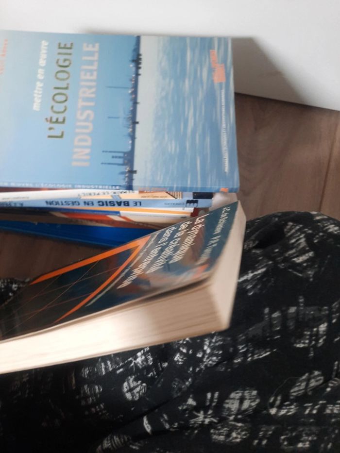 Livre d'une entreprise p m - photo numéro 6