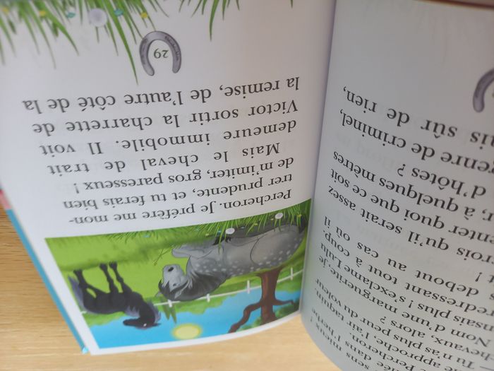 Lot 2 livres Mes Amis les chevaux dès 6 ans - Très bon état - photo numéro 4