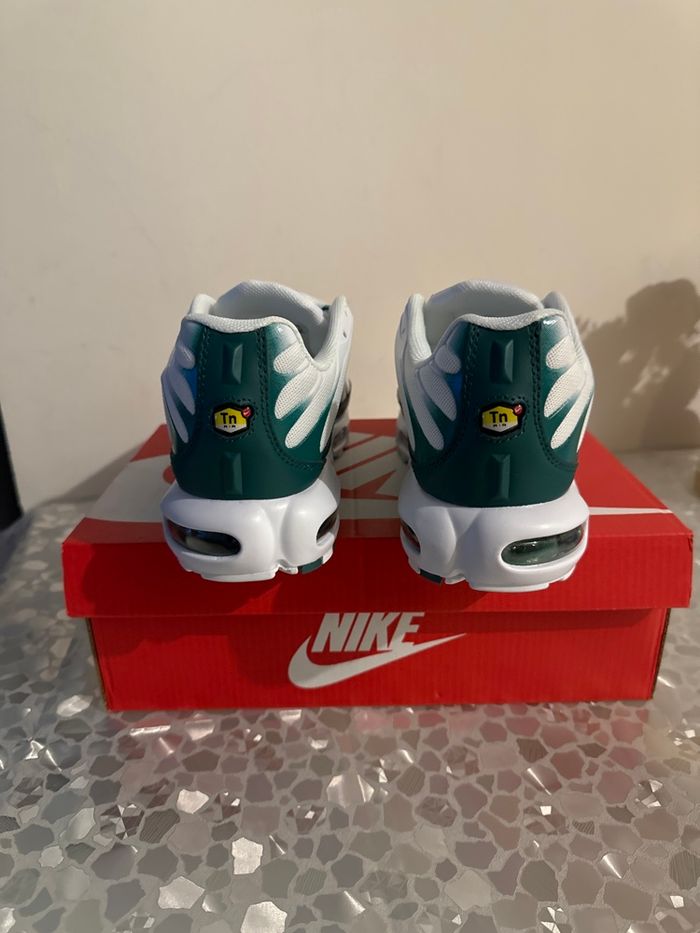 Tn nike Lacoste - photo numéro 4