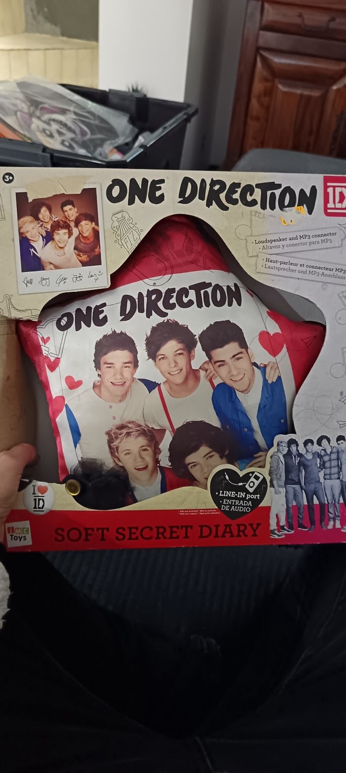 Coussin secret one direction