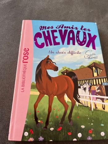 Livre bibliothèque rose mes amis les chevaux tome 3