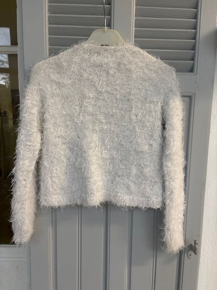 Gilet brillant - photo numéro 2