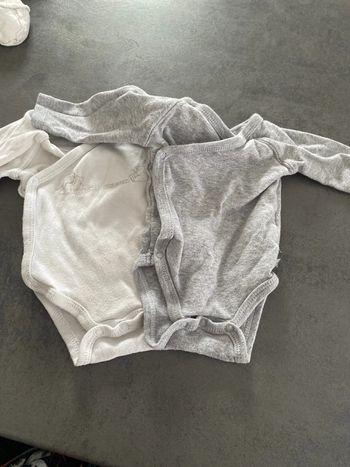Lot 2 body Kitchoun