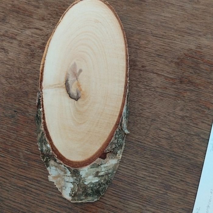 Disque de bois - photo numéro 3